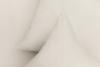 Cotton 200TC White Pillowcase Pair