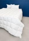 Microfibre 650 Duvet Inner