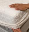 Quilted Mattress Protector